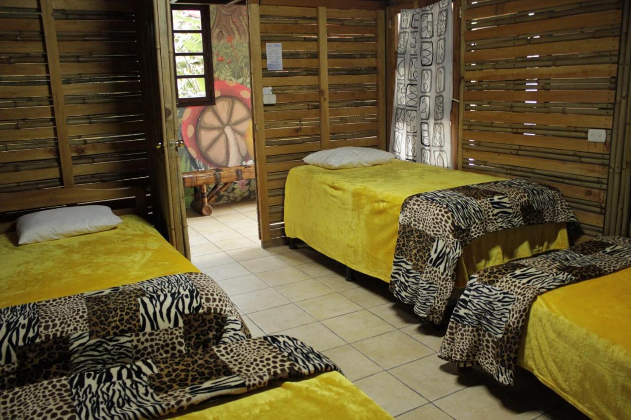Hostal Casa Buho アンティグア・グアテマラ エクステリア 写真